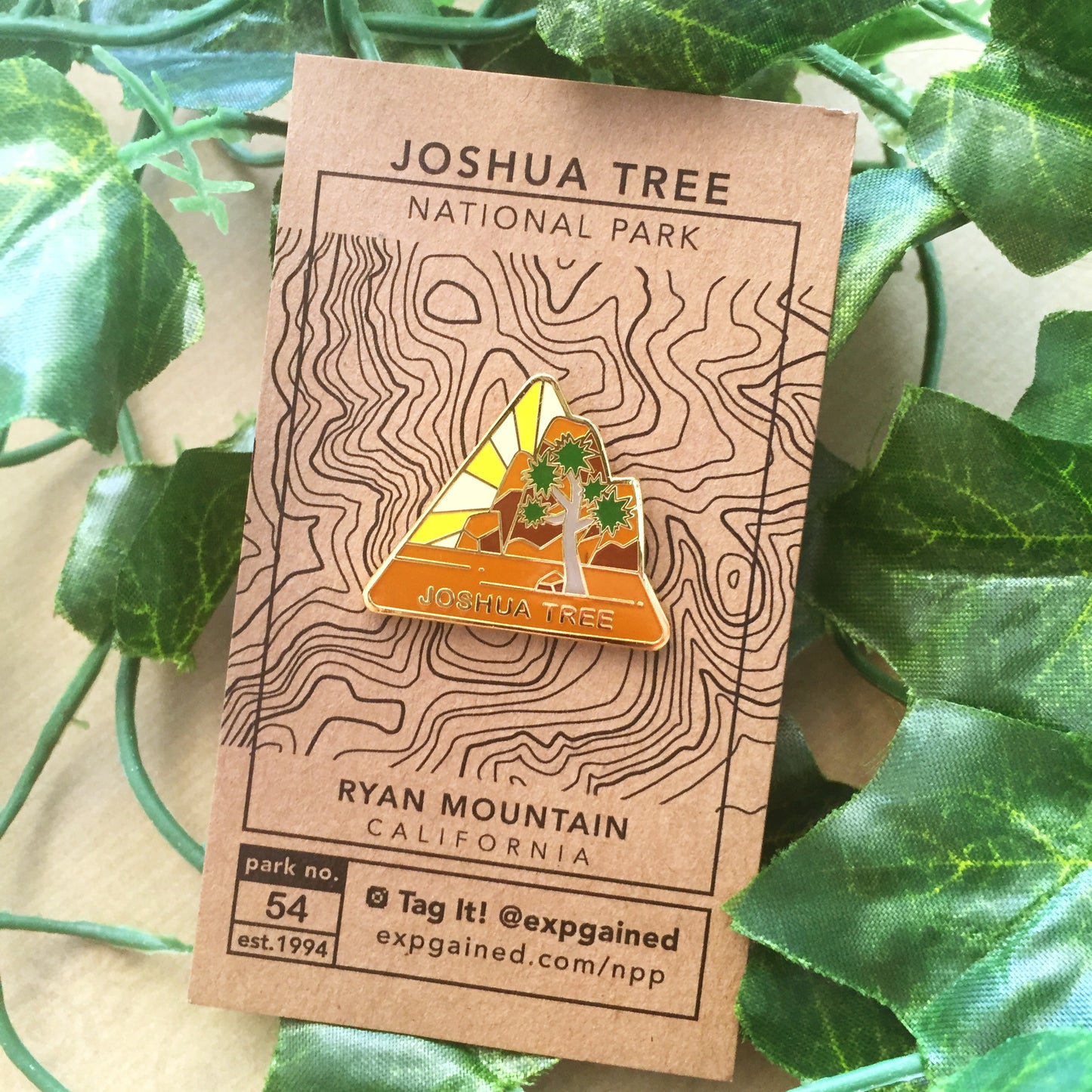 Triangle Joshua Tree national park enamel pin featuring a view from the beehive hike on a brown business card size backing card with a topo map of Ryan Mountain.