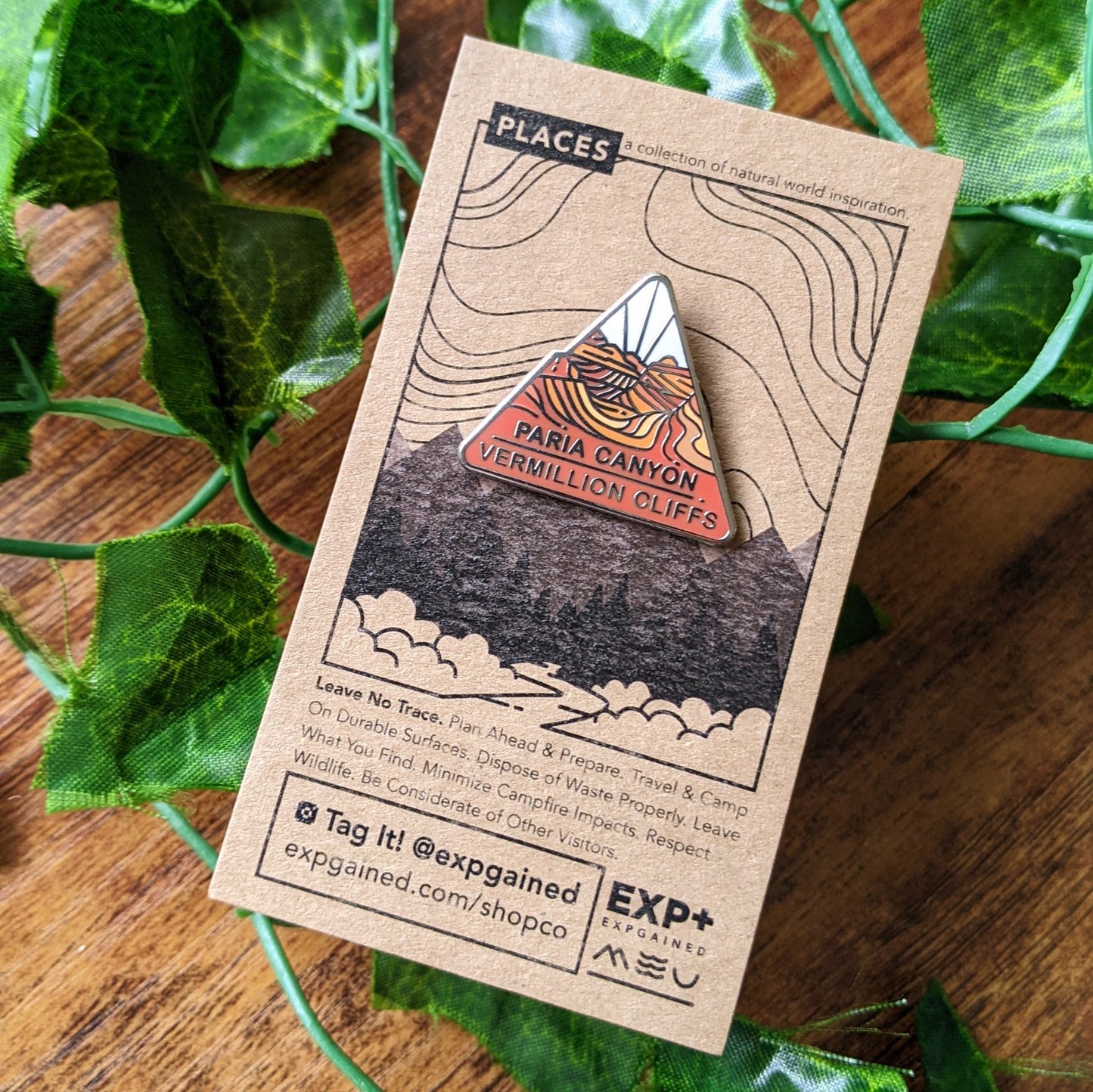 Paria Canyon-Vermillion Cliffs triangle enamel pin on a Places backing cards