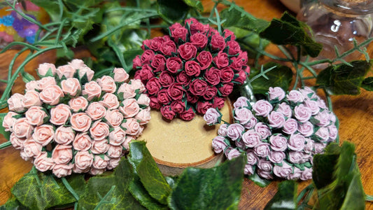 Secret Friendship Blooms [2025.04.18-04.20]