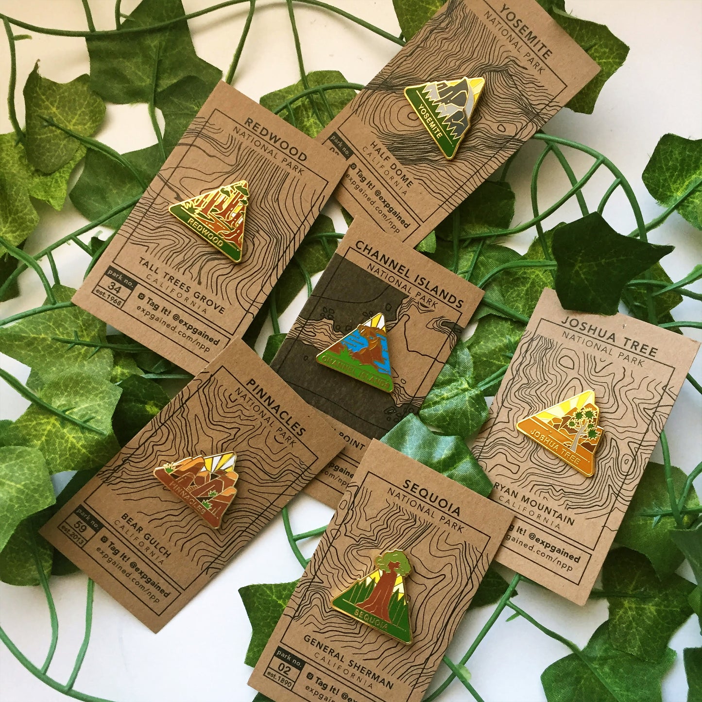 Group shot of national park pins on kraft backing cards on some green ivy.