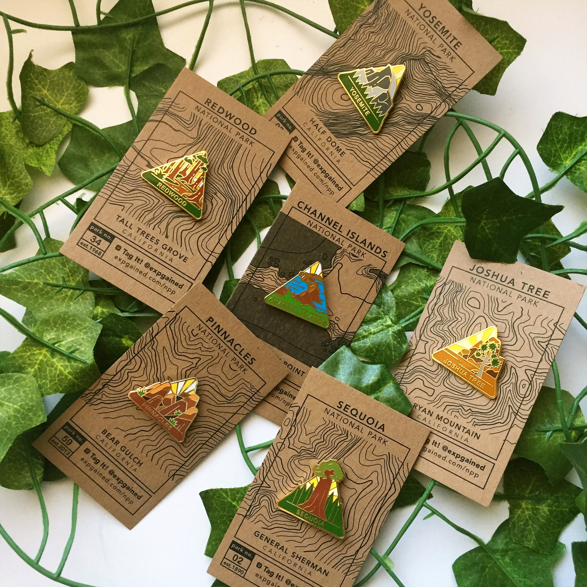 Group shot of national park pins on kraft backing cards on some green ivy.