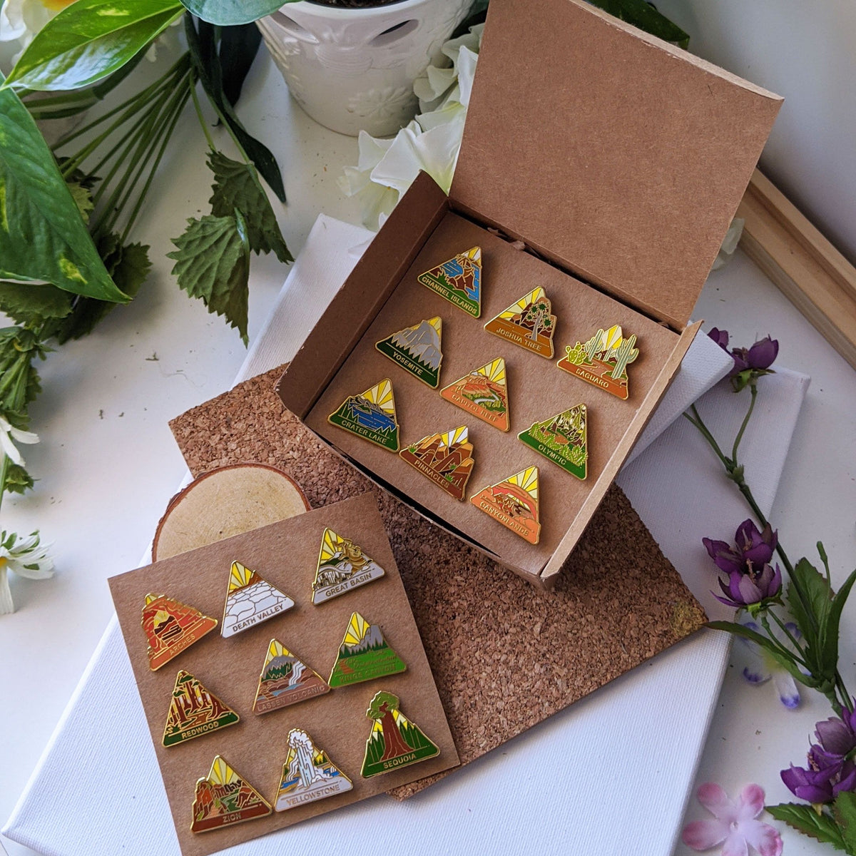 National park pins in a brown box