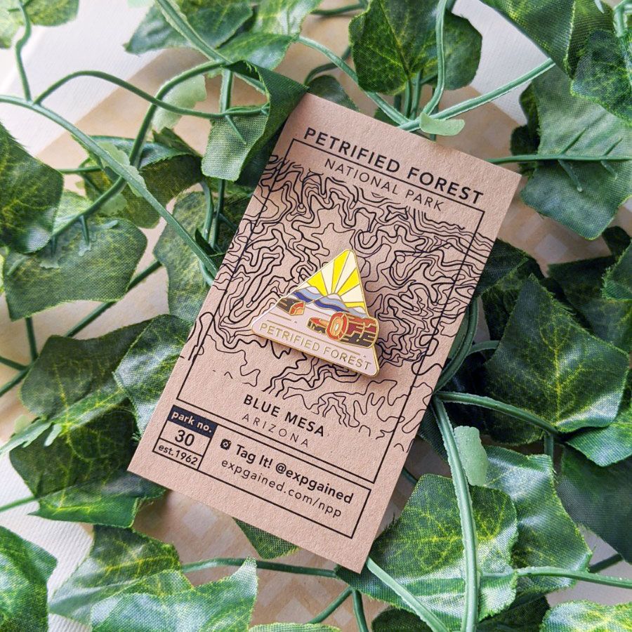 Triangle Petrified Forest national park enamel pin featuring a view from the beehive hike on a brown business card size backing card with a topo map of Blue Mesa area.