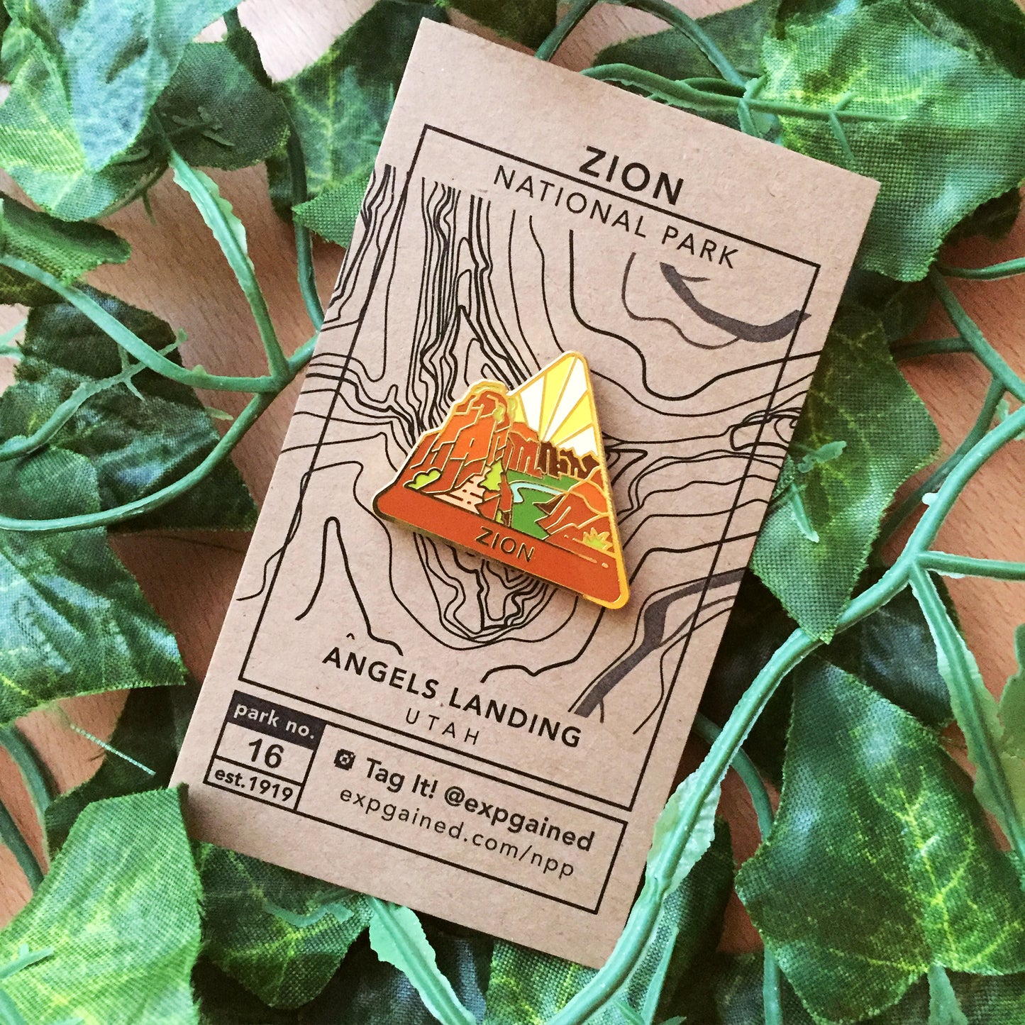 Triangle Zion national park enamel pin featuring a view from the beehive hike on a brown business card size backing card with a topo map of Angels Landing.