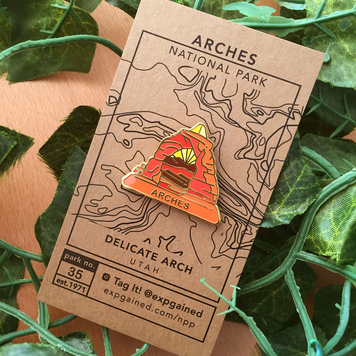 Archmage Pin Arches National Park Hard Enamel Pin - EXP Gained | ShopCo